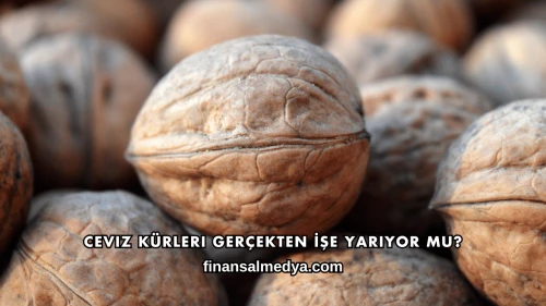Ceviz Kürleri Gerçekten İşe Yarıyor mu?