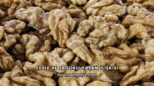Ceviz ve Sağlıklı Yaşam İlişkisi