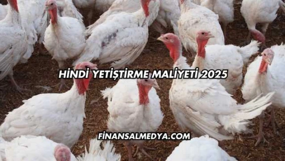 Hindi Yetiştirme Maliyeti 2025