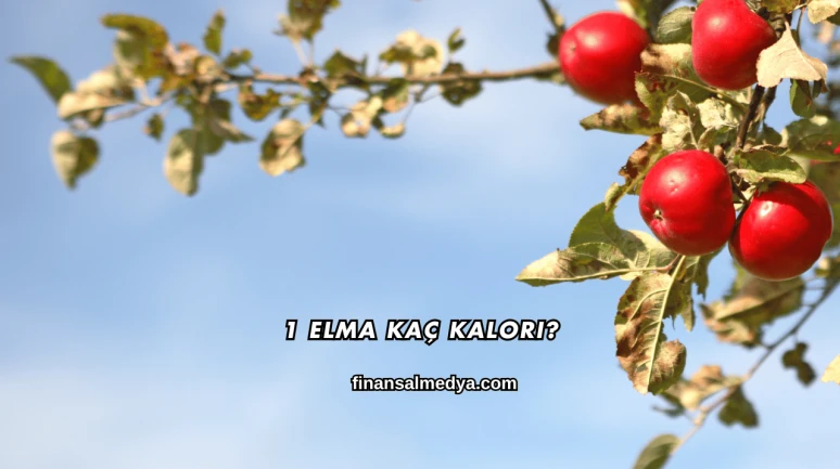 1 Elma Kaç Kalori?