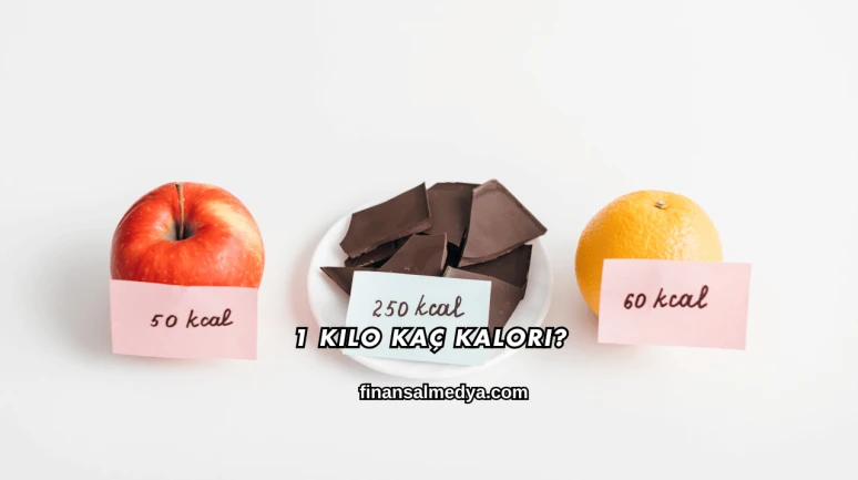 1 Kilo Kaç Kalori?