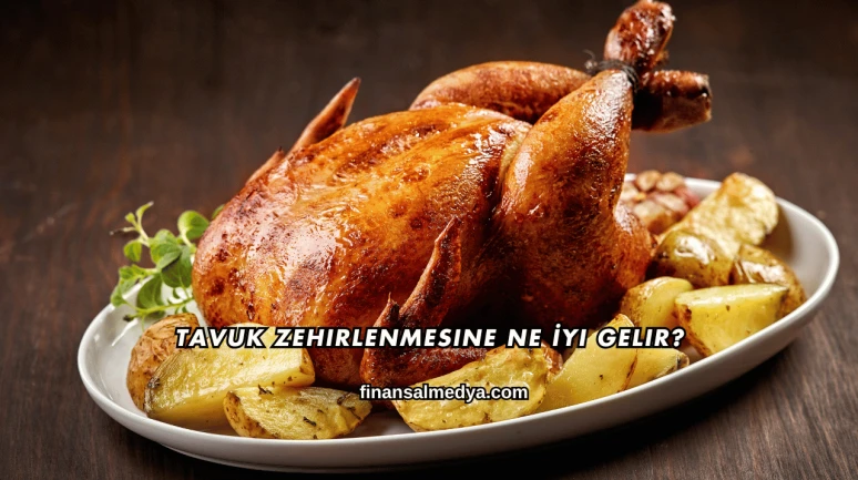 Tavuk Zehirlenmesine Ne İyi Gelir?