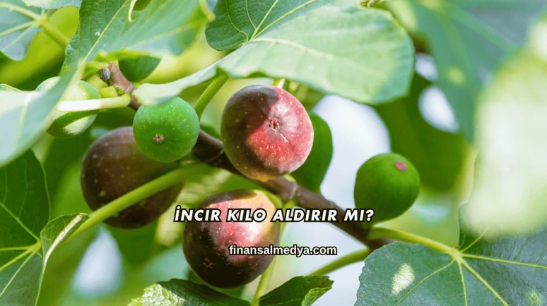 İncir Kilo Aldırır mı?