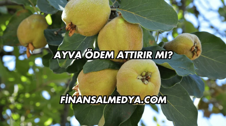 Ayva Ödem Attırır mı?