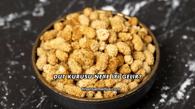 Dut Kurusu Neye İyi Gelir?