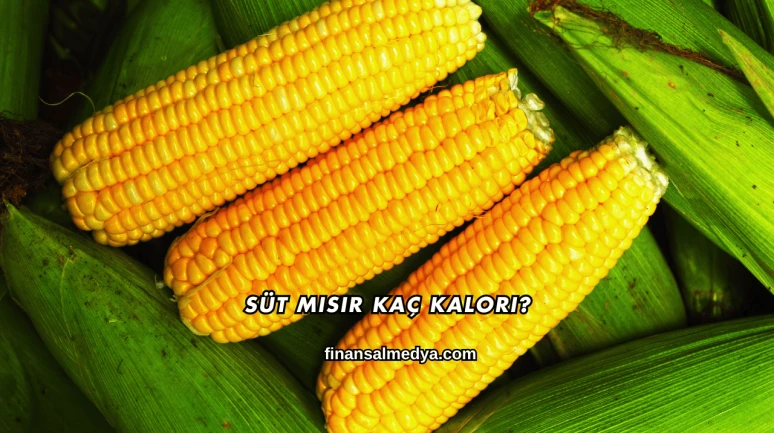 Süt Mısır Kaç Kalori?