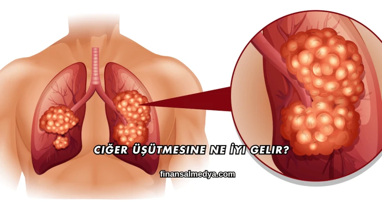 Ciğer Üşütmesine Ne İyi Gelir?