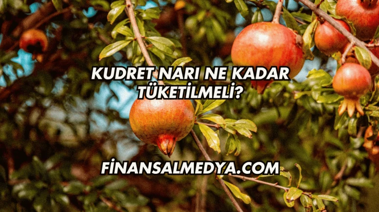 Kudret Narı Ne Kadar Tüketilmeli?