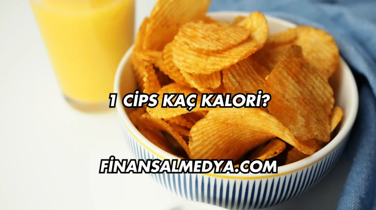 1 Cips Kaç Kalori?