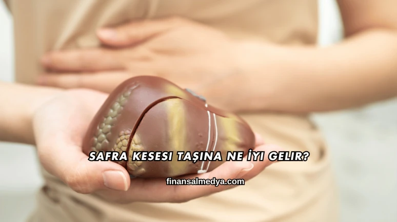 Safra Kesesi Taşına Ne İyi Gelir?