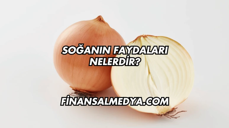 Soğanın Faydaları Nelerdir?