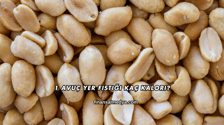 1 Avuç Yer Fıstığı Kaç Kalori?