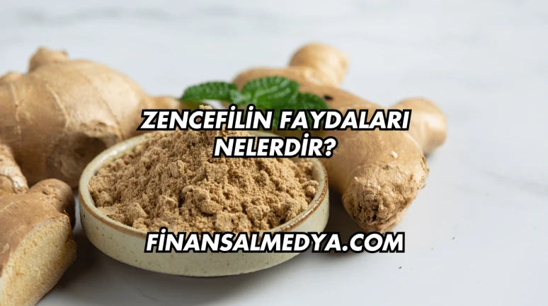 Zencefilin Faydaları Nelerdir?