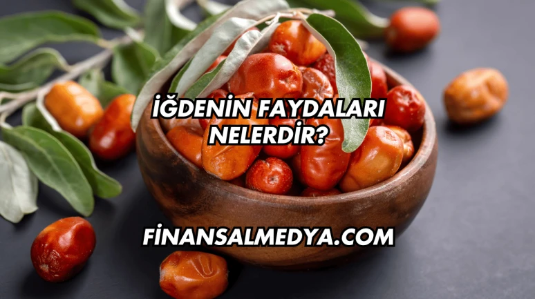 İğdenin Faydaları Nelerdir?