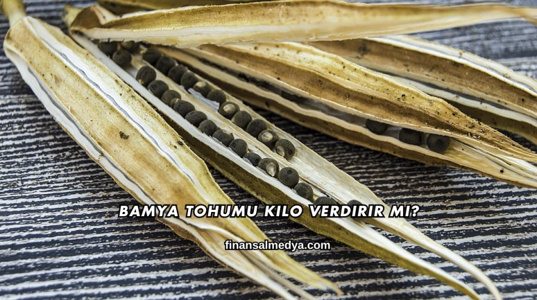Bamya Tohumu Kilo Verdirir mi?