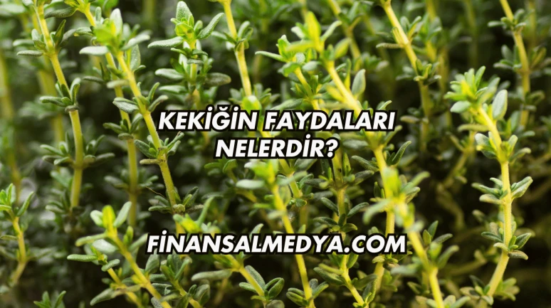 Kekiğin Faydaları Nelerdir?