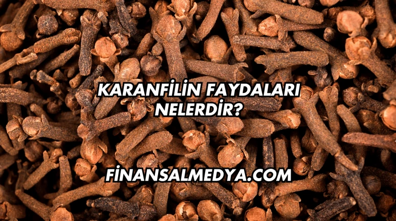 Karanfilin Faydaları Nelerdir?