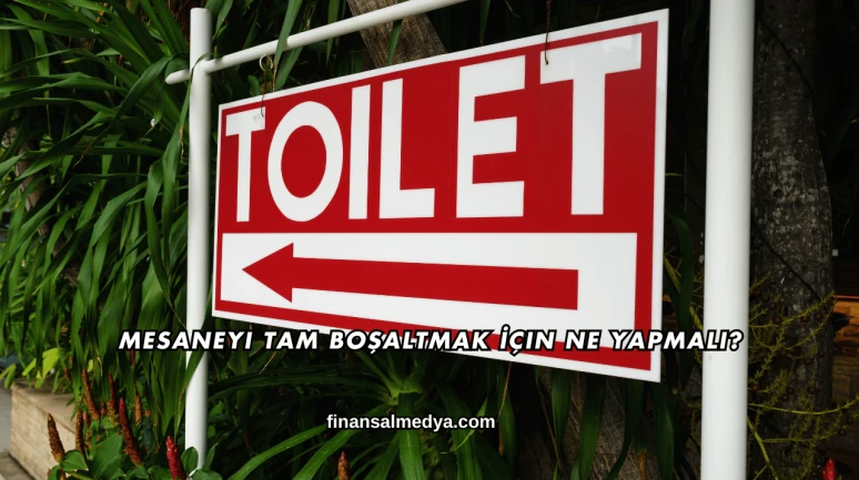 Mesaneyi Tam Boşaltmak İçin Ne Yapmalı?