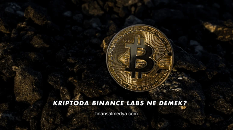 Kriptoda Binance Labs Ne Demek?