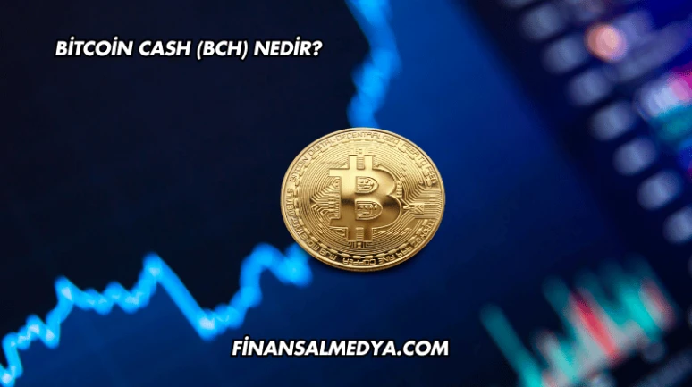 Bitcoin Cash (BCH) Nedir?