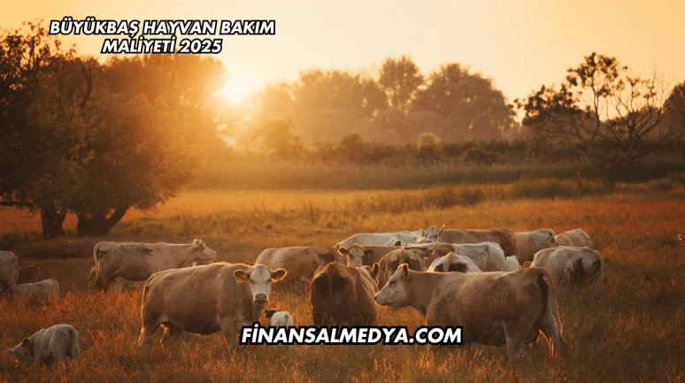 Büyükbaş Hayvan Bakım Maliyeti 2025