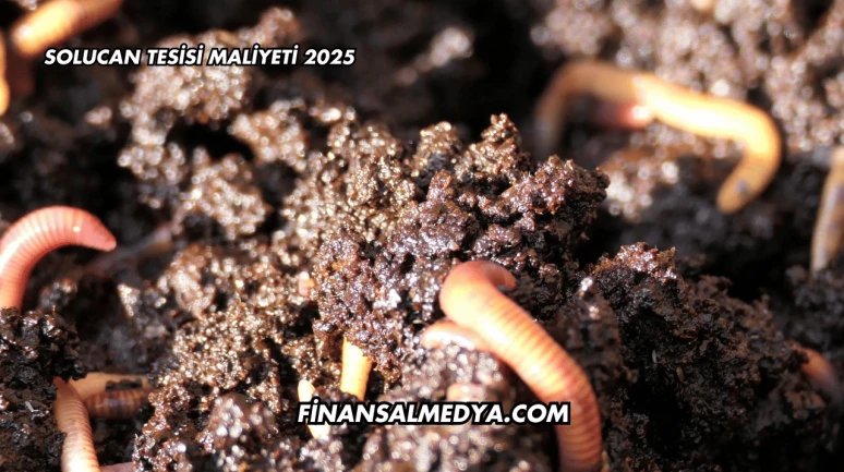 Solucan Tesisi Maliyeti 2025