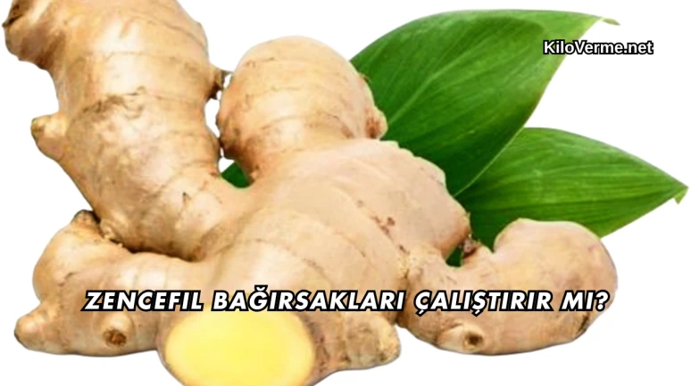 Zencefil Bağırsakları Çalıştırır mı?