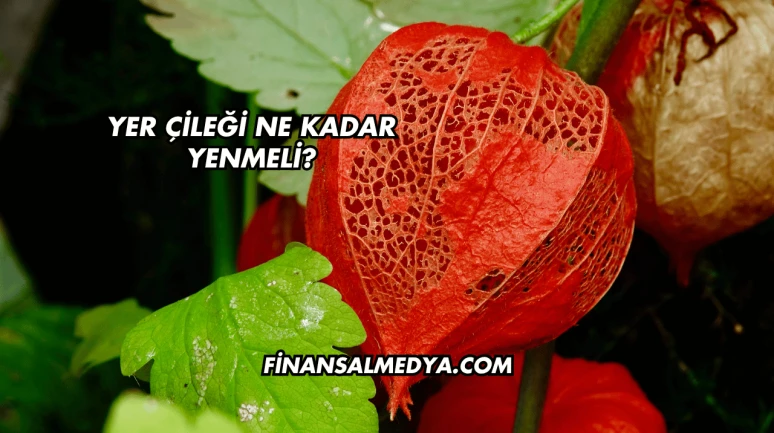 Yer Çileği Ne Kadar Yenmeli?