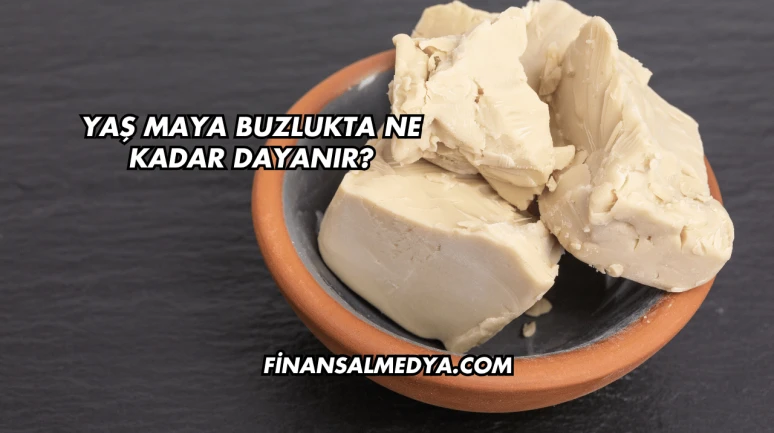 Yaş Maya Buzlukta Ne Kadar Dayanır?