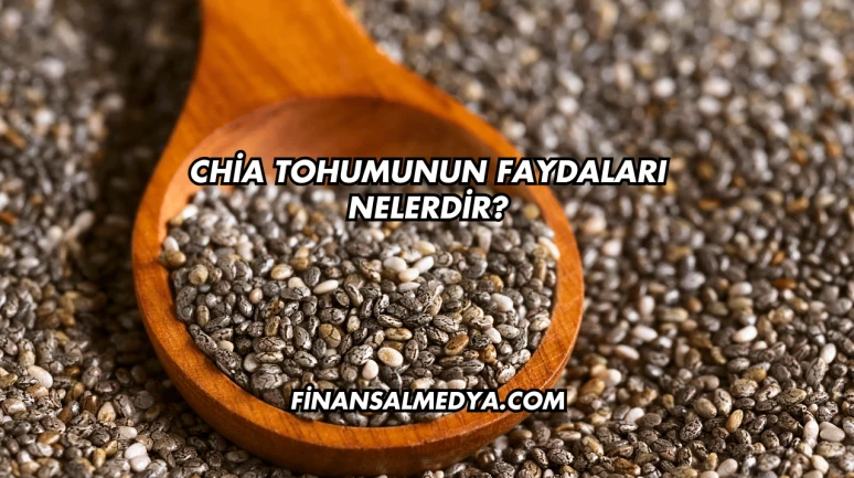 Chia Tohumunun Faydaları Nelerdir?