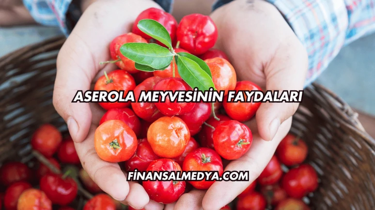 Aserola Meyvesinin Faydaları