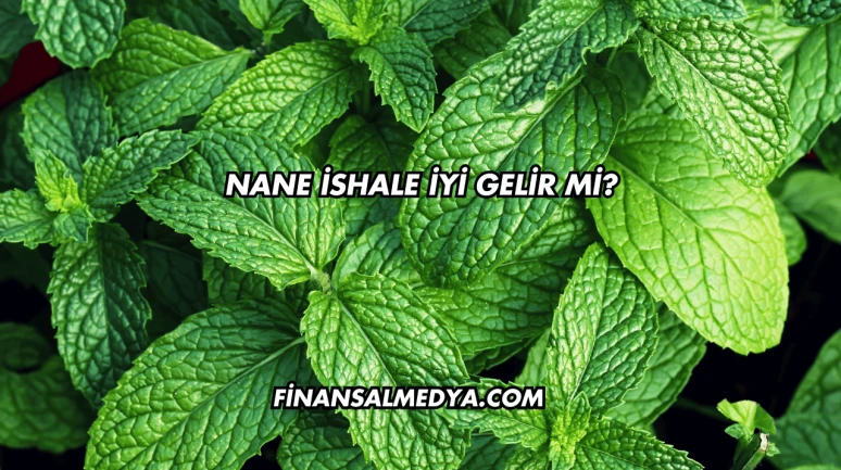 Nane İshale İyi Gelir mi?