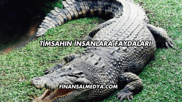 Timsahın İnsanlara Faydaları
