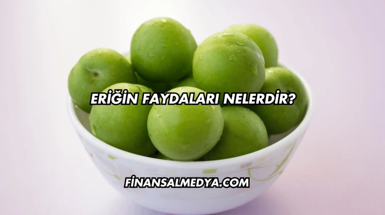 Eriğin Faydaları Nelerdir?