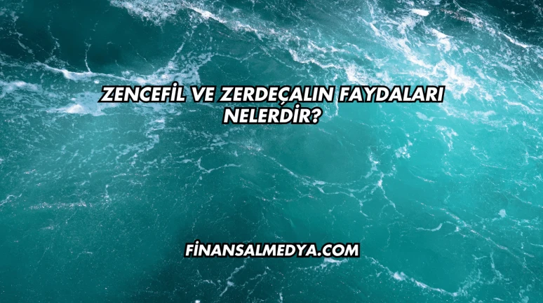 Zencefil ve Zerdeçalın Faydaları Nelerdir?