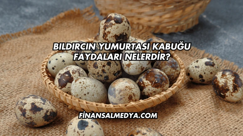Bıldırcın Yumurtası Kabuğu Faydaları Nelerdir?