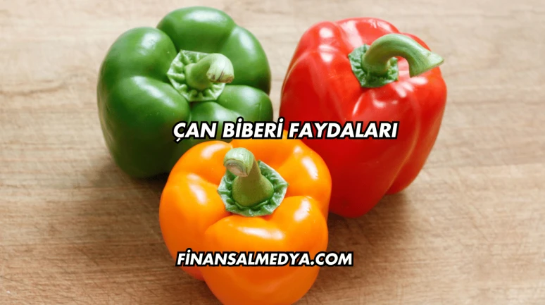 Çan Biberi Faydaları