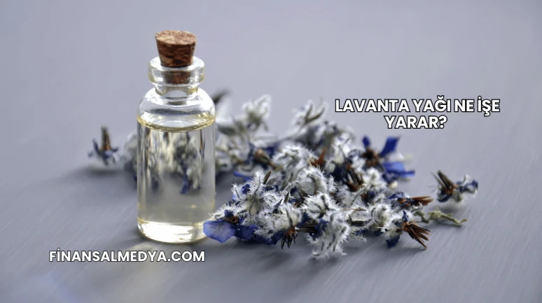 Lavanta Yağı Ne İşe Yarar?
