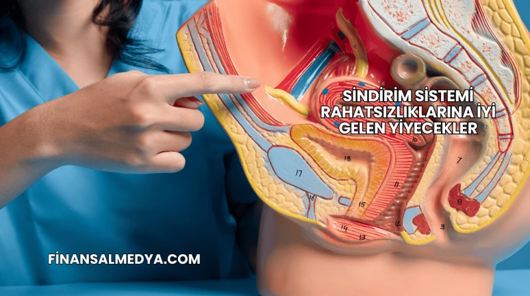 Sindirim Sistemi Rahatsızlıklarına İyi Gelen Yiyecekler