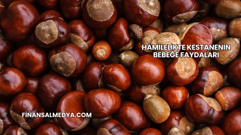 Hamilelikte Kestanenin Bebeğe Faydaları