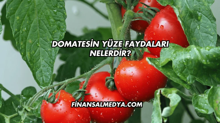 Domatesin Yüze Faydaları Nelerdir?
