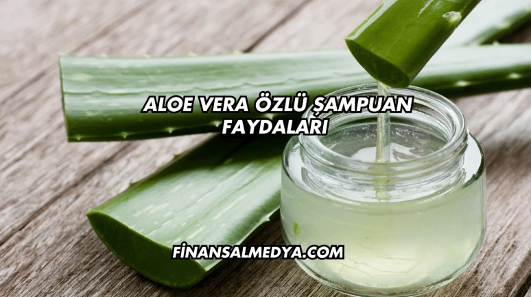 Aloe Vera Özlü Şampuan Faydaları