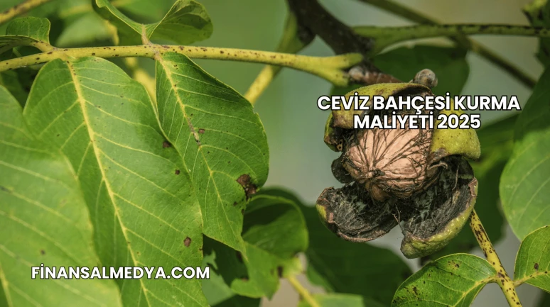 Ceviz Bahçesi Kurma Maliyeti 2025