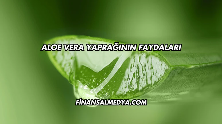 Aloe Vera Yaprağının Faydaları