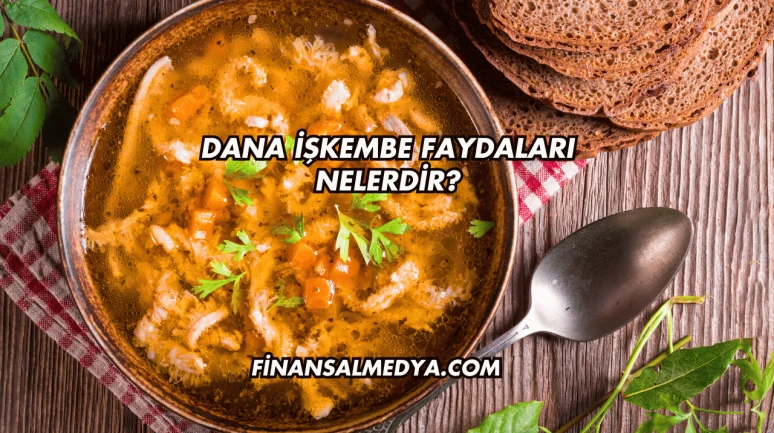 Dana İşkembe Faydaları Nelerdir?