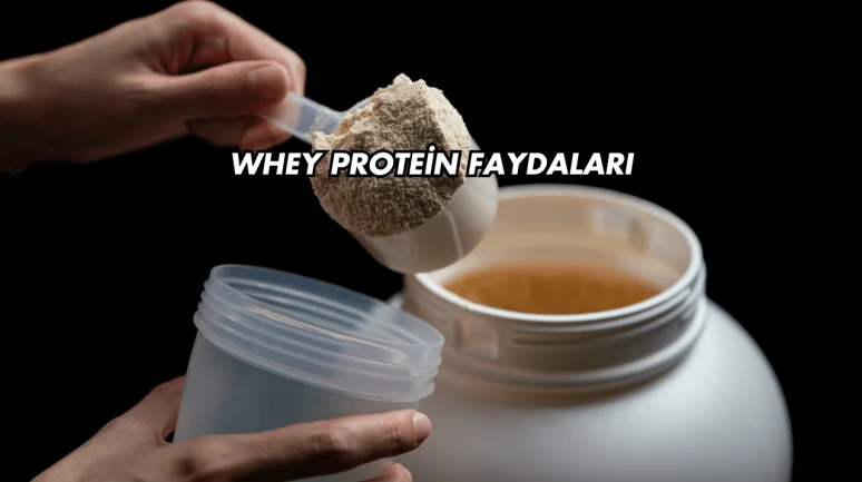 Whey Protein Faydaları