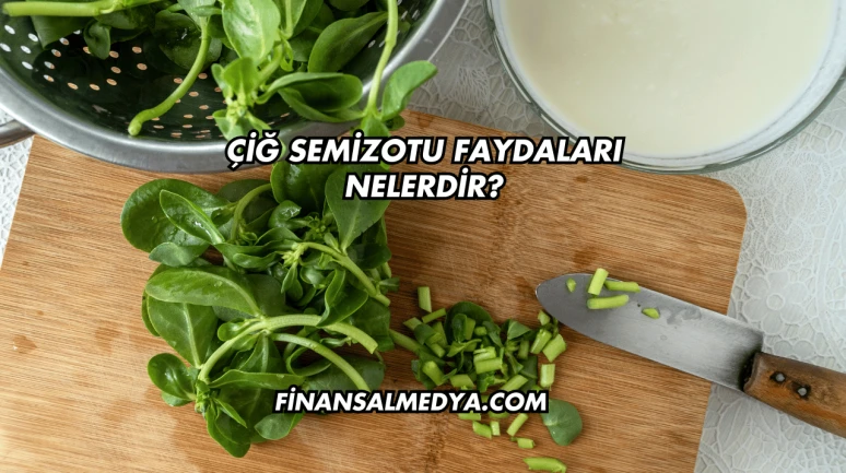 Çiğ Semizotu Faydaları Nelerdir?