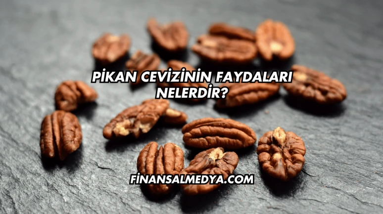 Pikan Cevizinin Faydaları Nelerdir?