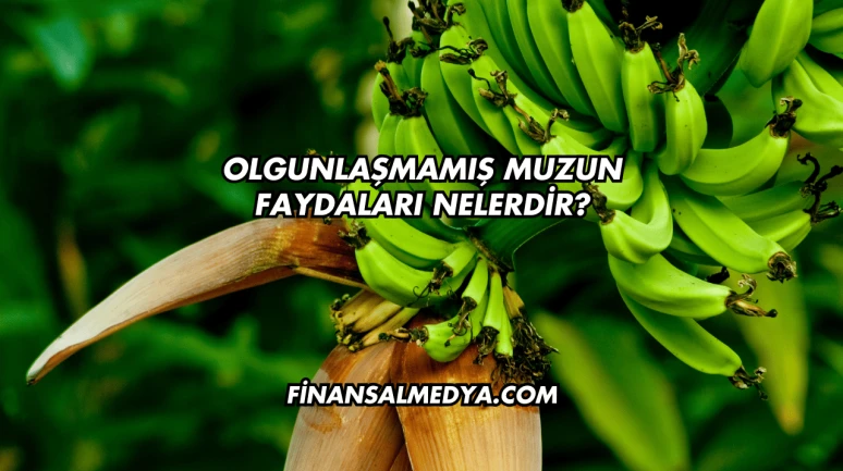 Olgunlaşmamış Muzun Faydaları Nelerdir?