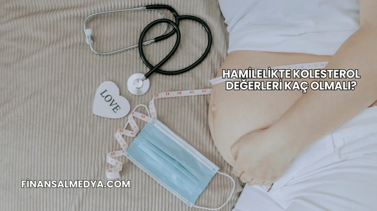 Hamilelikte Kolesterol Değerleri Kaç Olmalı?